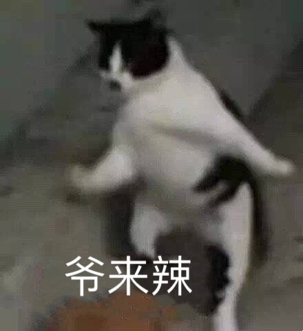 6月22日斗图表情包精选合集