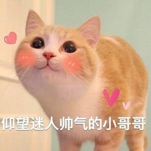 9月9日斗图表情包合集来啦