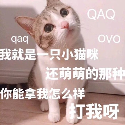 9月24日热门斗图表情合集来啦