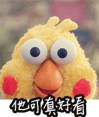 鹦鹉兄弟动图合集来啦！聊天斗图不用愁