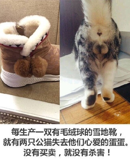 这套反常识的“没有买卖就没有杀害表情包