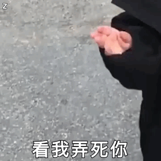 权律二GIF动图合集来啦，斗图党速存