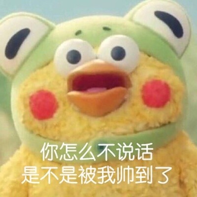 鹦鹉兄弟怼人表情包合集