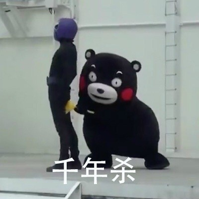 这套功夫表情包太绝了！熊本熊整活整到飞起
