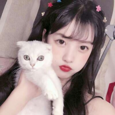 女生抱猫咪QQ头像合集！10张高清好看的真人头像图