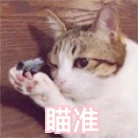 猫咪射击三连表情包来啦