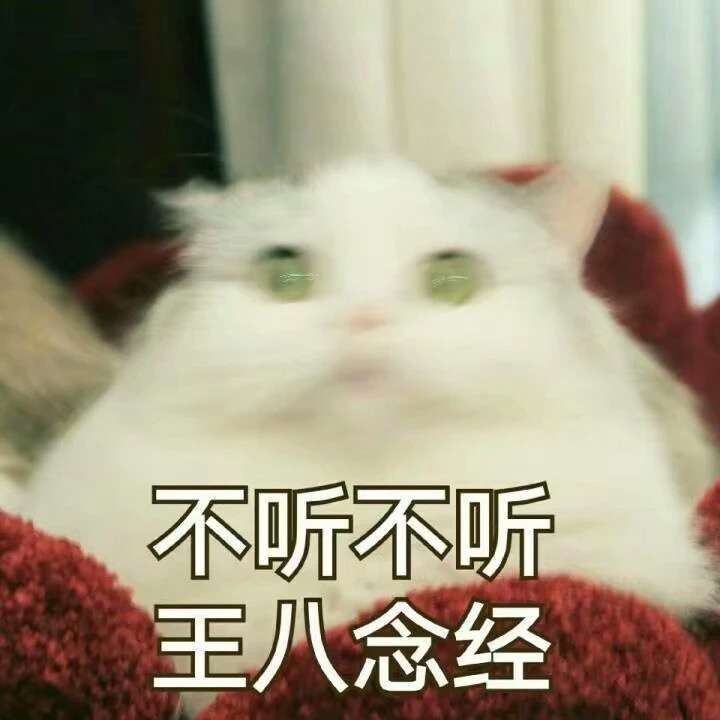 这波猫咪表情包太治愈！快存下来一起吸猫