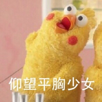 鹦鹉兄弟仰望系列表情包来啦