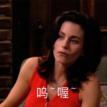 老友记经典表情包合集来啦