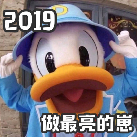 快码住！这套唐老鸭鸭风表情包帮你天天笑口常开