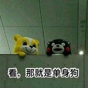超实用柴犬Doge微信表情包合集