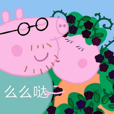 小猪佩奇聊天表情包合集
