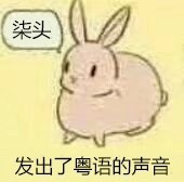 这套带粤语台词的兔子表情包，斗图太带感了