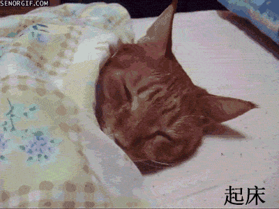 打工人的一天！这些场景是不是戳中你了