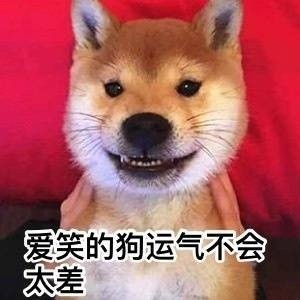 超实用柴犬Doge微信表情包合集