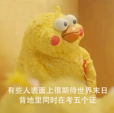 鹦鹉兄弟版“穷且坦荡”表情包火了