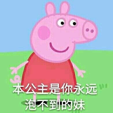 小猪佩奇聊天表情包合集