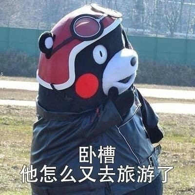 刷朋友圈时的真实吐槽，这套熊本熊表情包太真实了