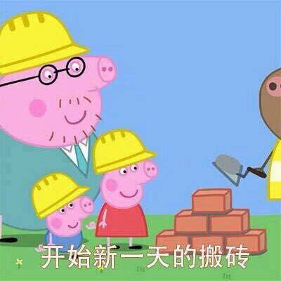 当下超火的表情包合集 斗图直接用