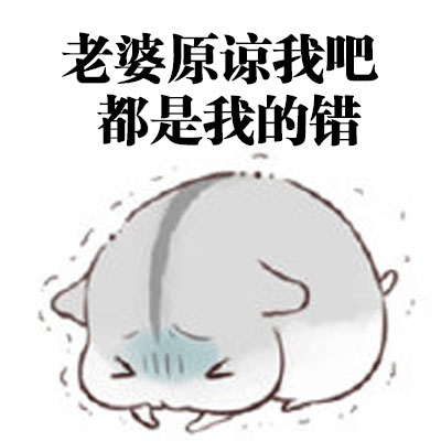 想找会道歉的老公表情包？这套合集太戳人了