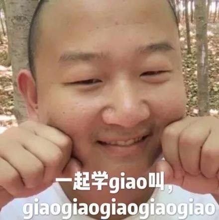 giao哥表情包合集 跟着一起学giao叫
