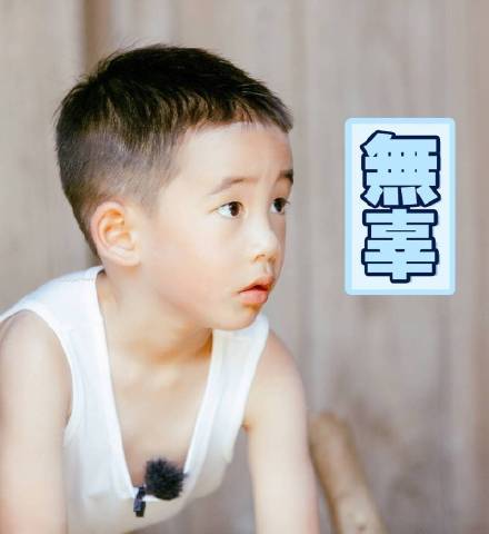 Jasper小小春表情包来啦！软萌模样直接戳中人心