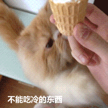 来大姨妈时的真实状态，这套表情包太懂了