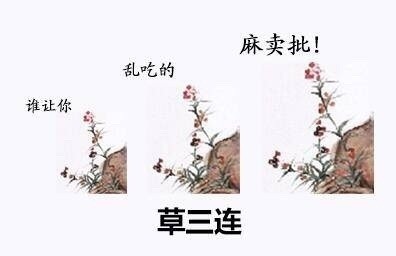 火出圈的古人三连表情包终于凑齐了