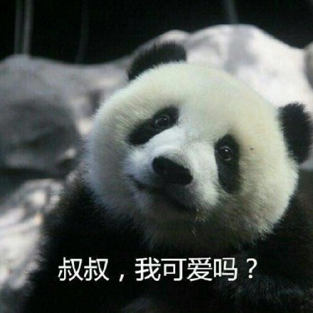 快收下这套熊猫头表情包！