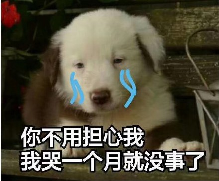 11月10日热门斗图表情包合集来啦