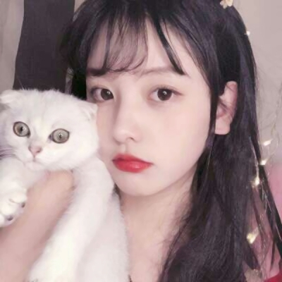 女生抱猫咪QQ头像合集！10张高清好看的真人头像图
