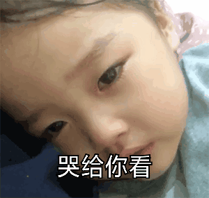 权律二萌系动图表情包合集