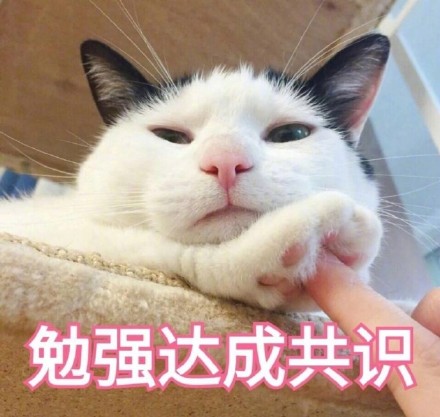 谁懂啊！这套猫咪表情包真的看一次爱一次