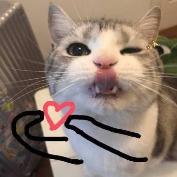 2月5日斗图表情包精选合集