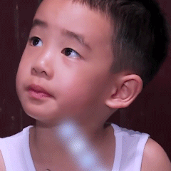 陈小春儿子小小春Jasper无水印表情包合集