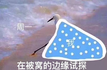 海鸥沙滩试探表情包合集来啦