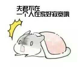 女生撩汉专用表情包合集