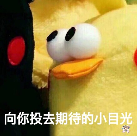 整理好的斗图杂图合集，直接存图就能用