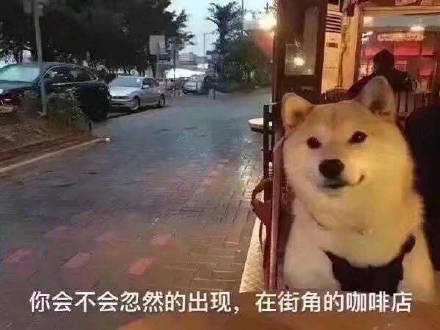 七夕单身狗专属表情包，戳中你的心巴