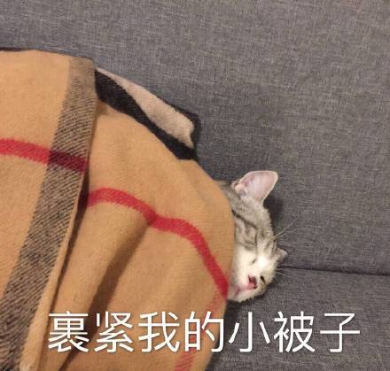 整理好的实用斗图表情合集