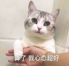 铲屎官狂喜！这套猫咪表情包我先存为敬