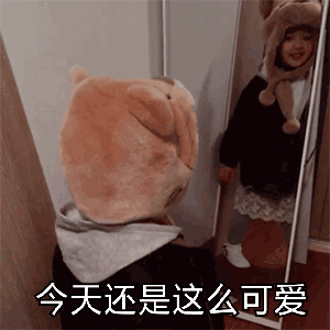 权律二萌系动图表情包合集