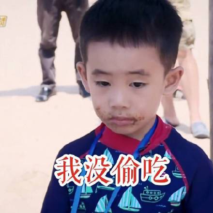 Jasper小小春表情包来啦！软萌模样直接戳中人心