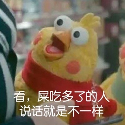 鹦鹉兄弟怼人表情包合集
