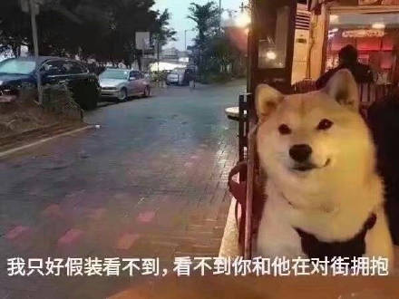 七夕单身狗专属表情包，戳中你的心巴