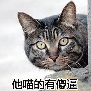 猫咪表情包合集，直接拿去用