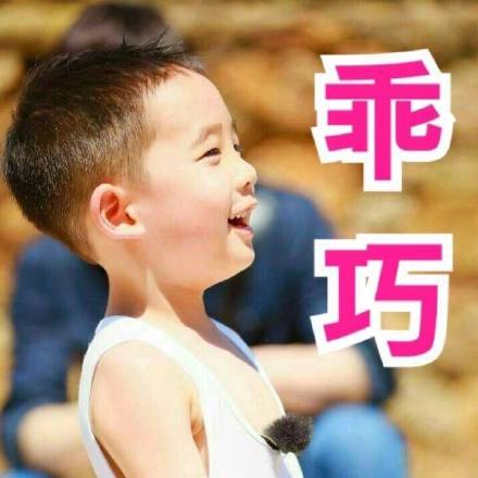 Jasper小小春表情包来啦！软萌模样直接戳中人心