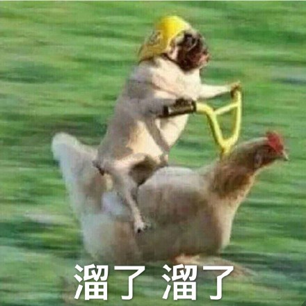 4月1日斗图表情包原图合集来啦