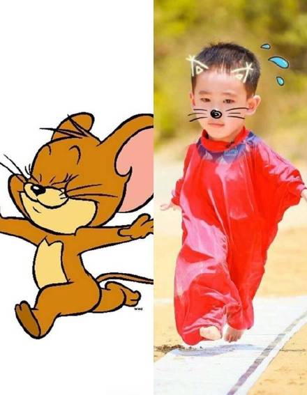 Jasper小小春表情包来啦！软萌模样直接戳中人心