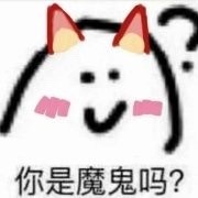 8月24日热门斗图表情包合集